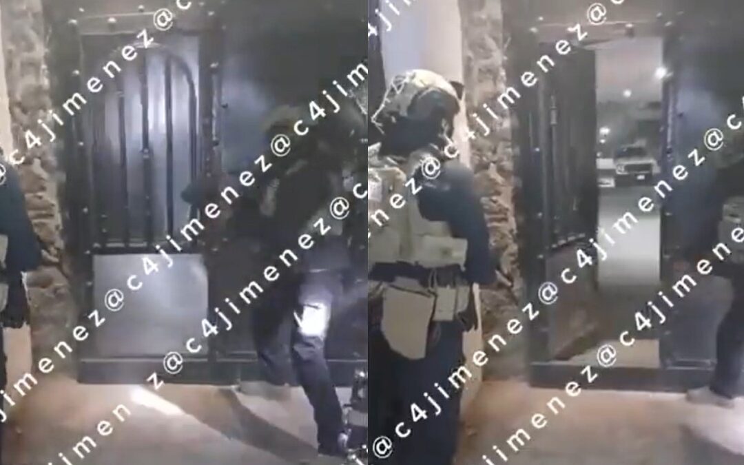 Operativo en Xochimilco: Nacen Perritos Mientras se Descubren Drogas y Armamento del Cártel de Sinaloa